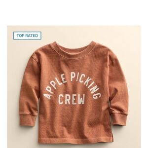 Apple Picking Crew Toddler Shirt - Burnt Orange 3T